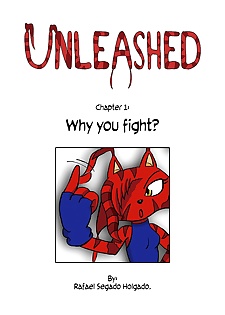 Unleashed 1 - Why You Fight - part 3